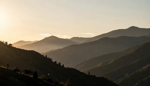 天津 网站建设中的业务场景与高级会员服务实践